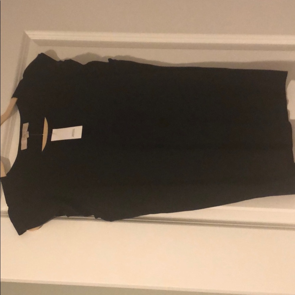 Loft Flutter Sleeve Top NWT